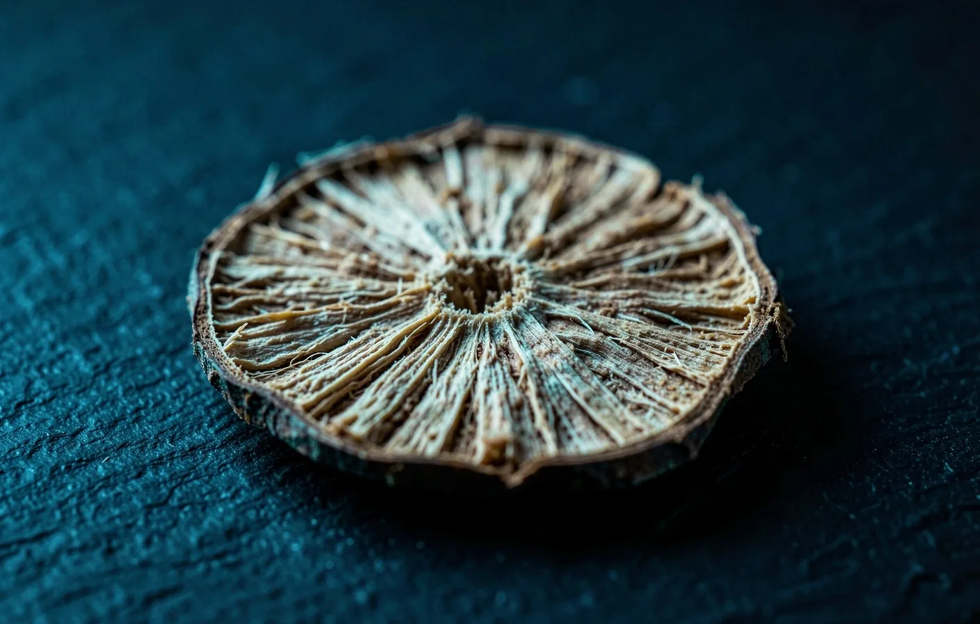Botanical texture detail